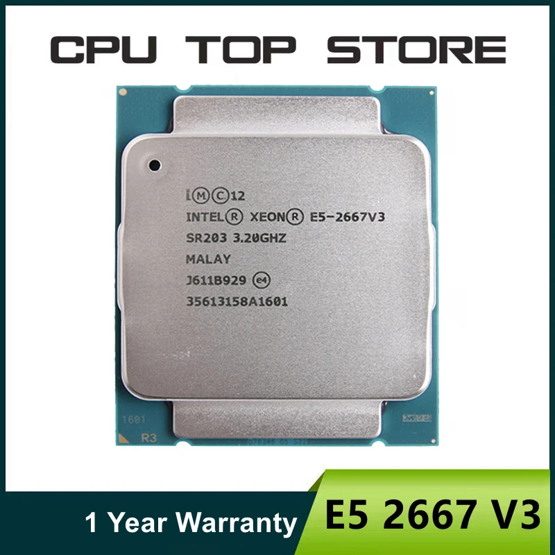Intel Xeon cpu  E5 2667 V3 3.2 - Gold 6248R 评论和价格